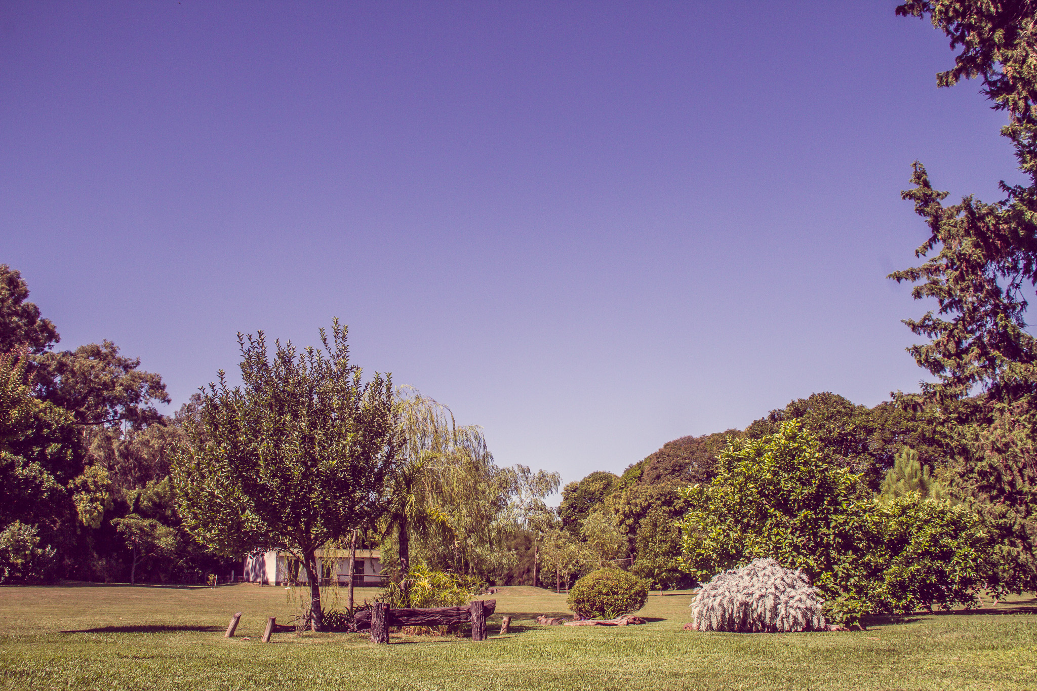 20140308 Casamiento 1664 IMG 9117